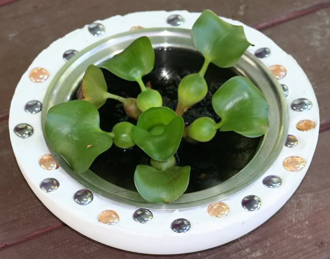 Concrete Planter